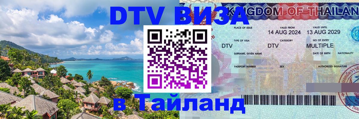 Оформление DTV визы под ключ: стоимость и тарифы, только загранпаспорт - 08.01.2026 